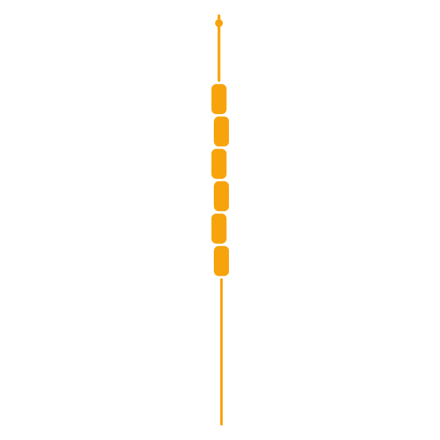 Example of non-T-shaped IUD. The IUD is fitted inside the womb